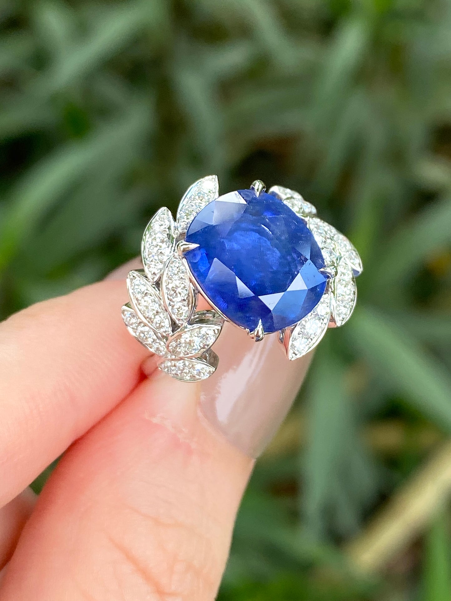 Natural Cornflower Blue Sapphire 5.20ct Ring