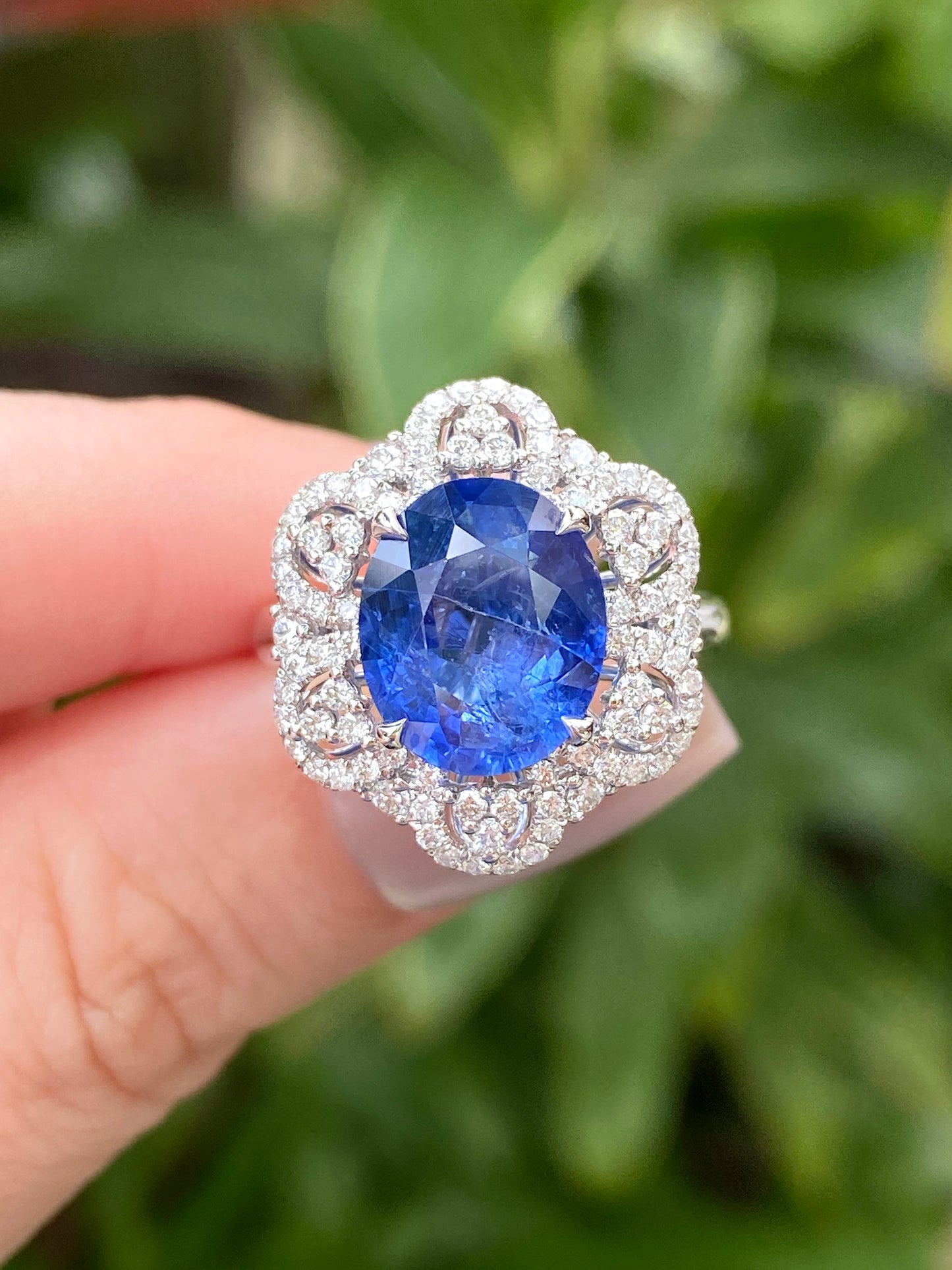 Natural Cornflower Blue Sapphire 4.49ct Ring