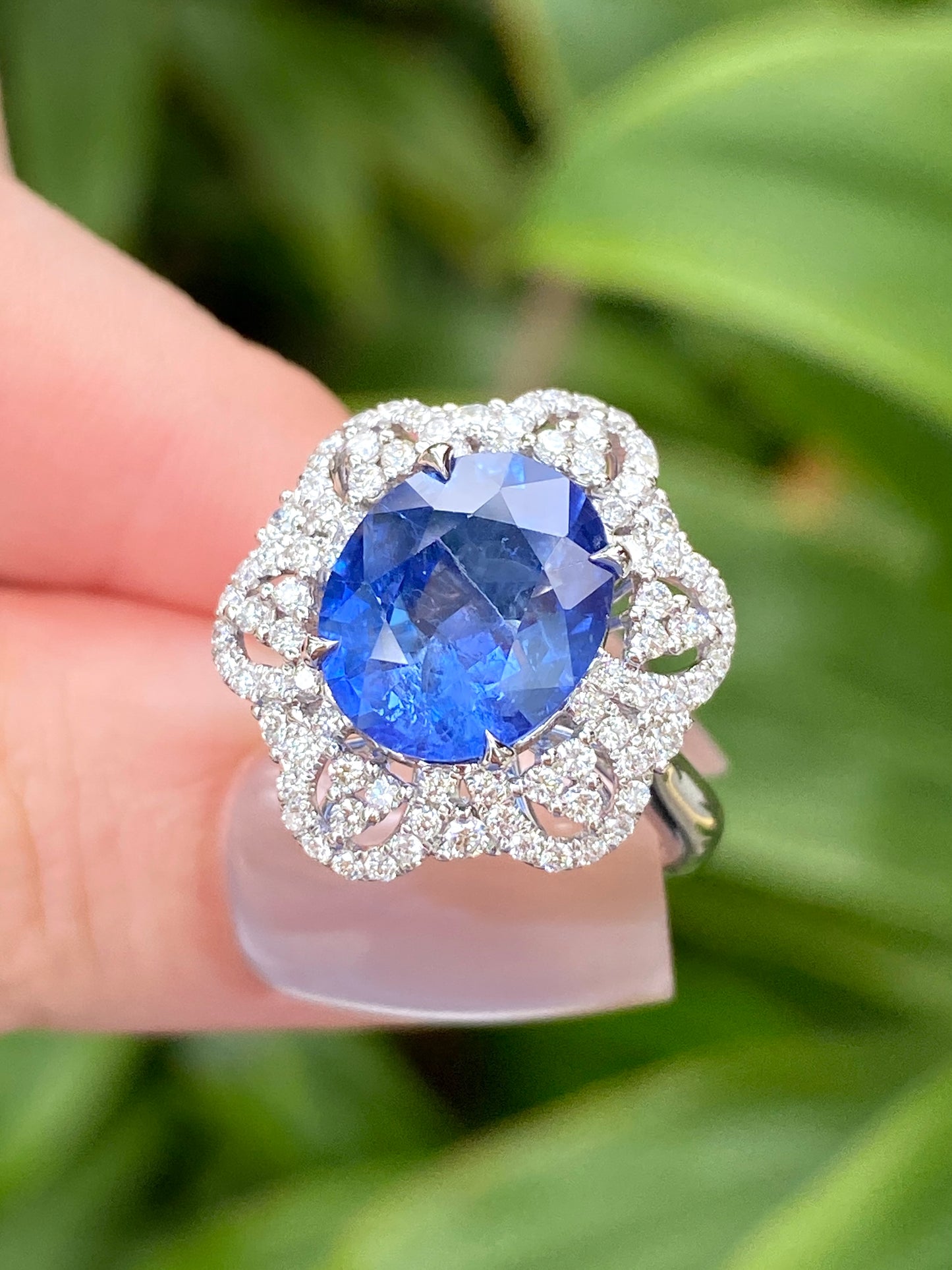 Natural Cornflower Blue Sapphire 4.49ct Ring