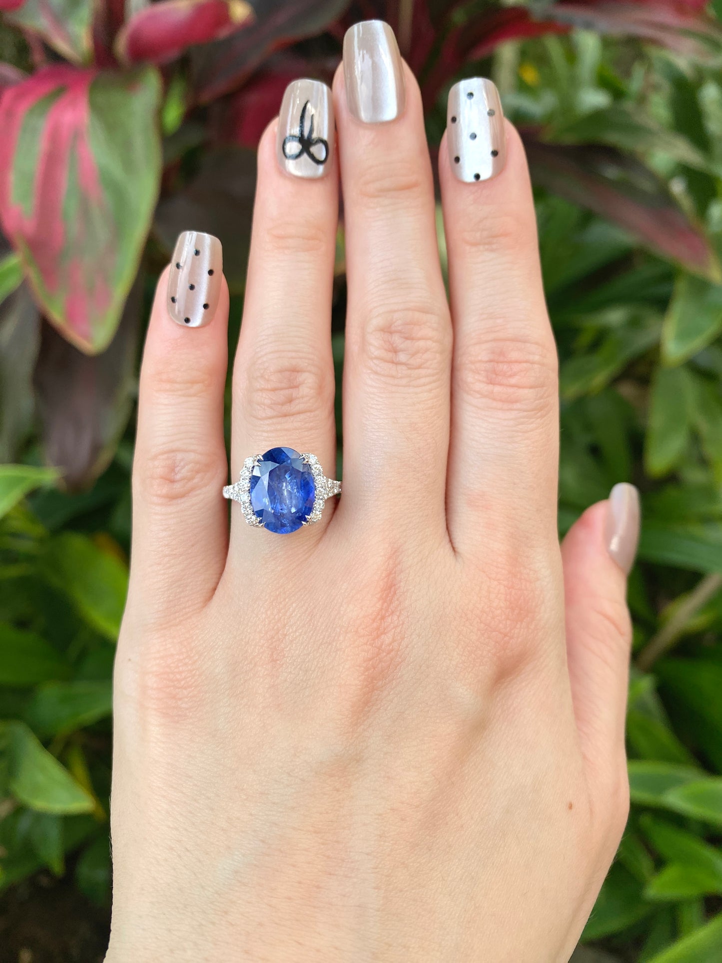 Natural Cornflower Blue Sapphire 4.77ct Ring