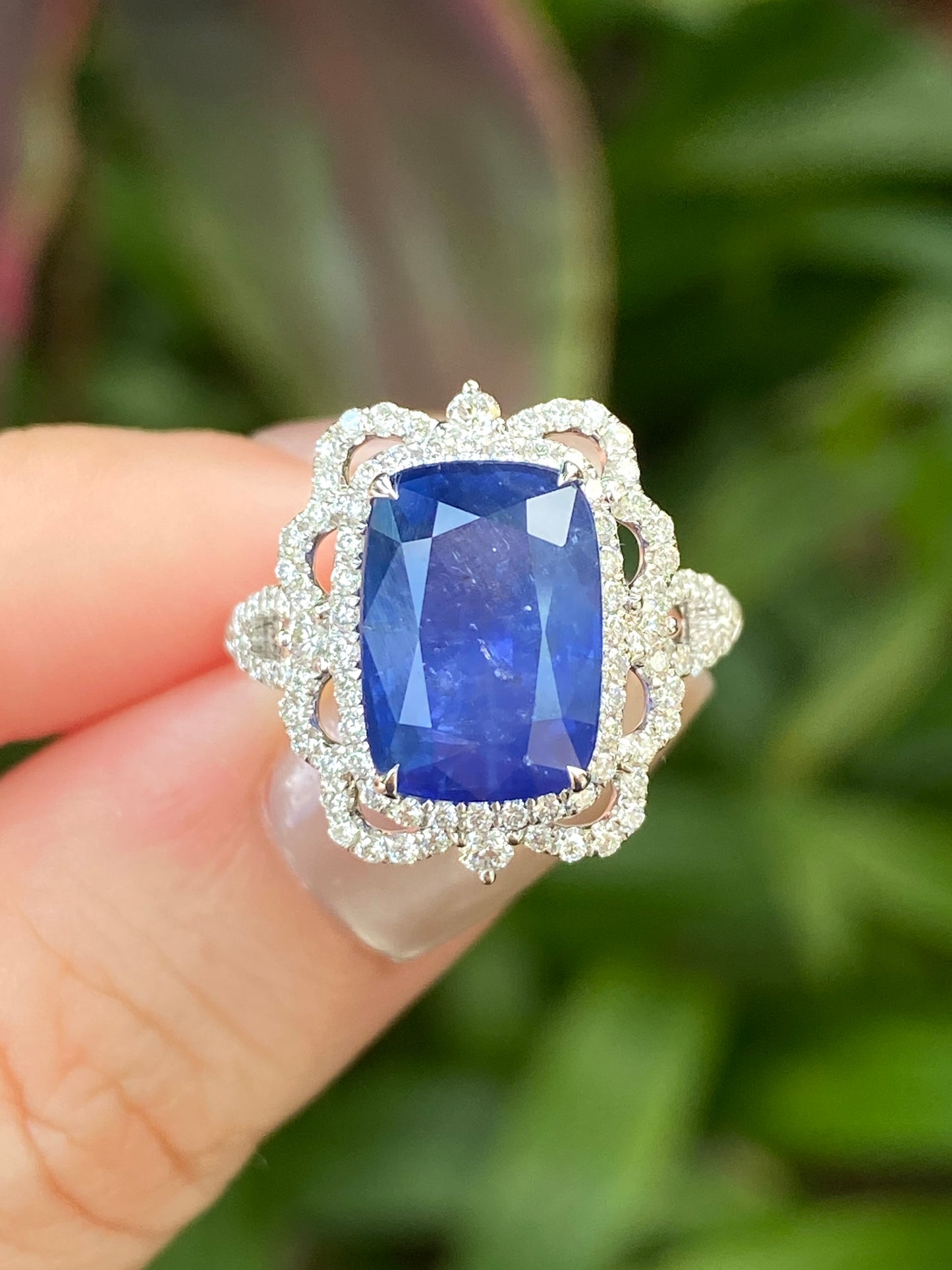 Natural Royal Blue Sapphire 5.41ct Ring