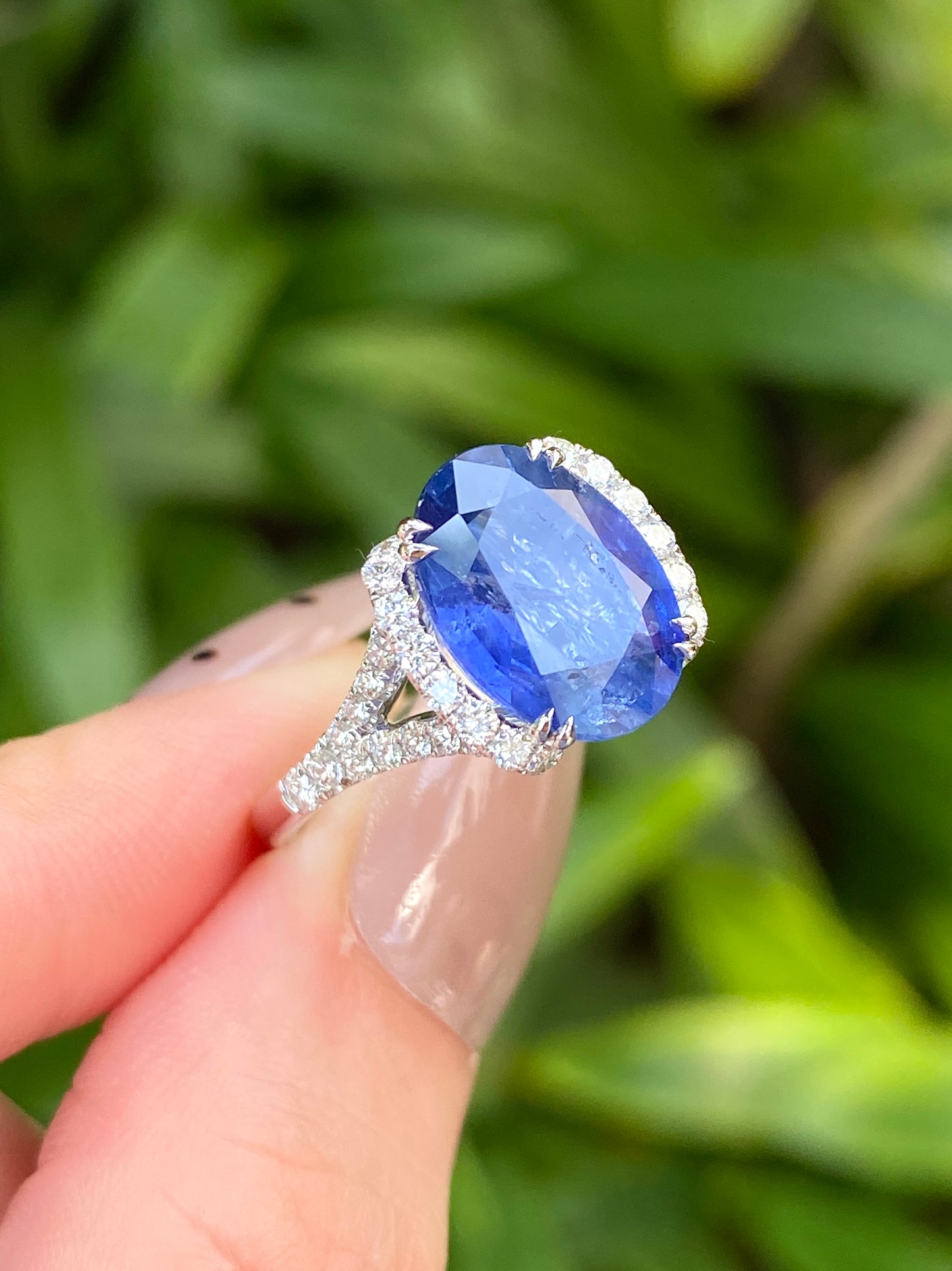 Natural Cornflower Blue Sapphire 4.77ct Ring