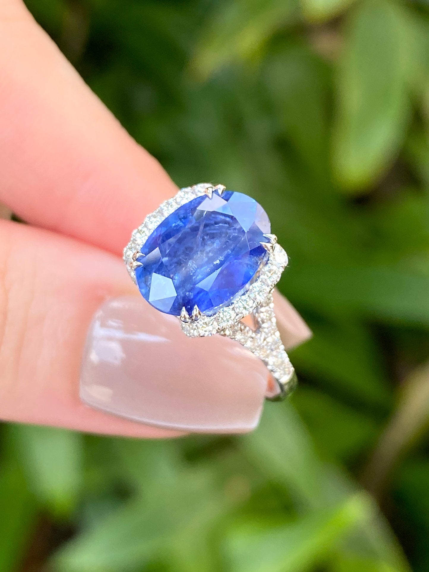 Natural Cornflower Blue Sapphire 4.77ct Ring