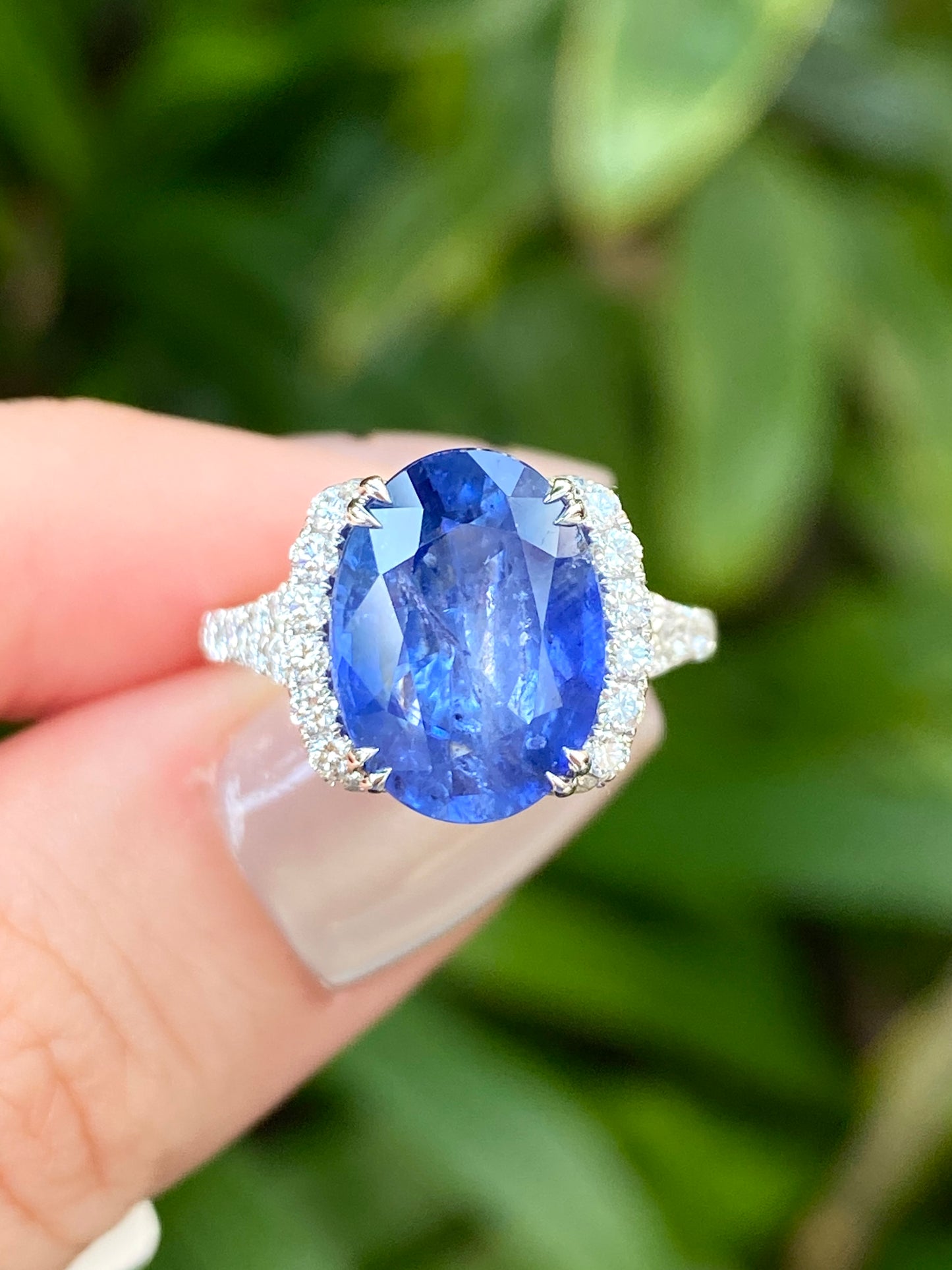 Natural Cornflower Blue Sapphire 4.77ct Ring