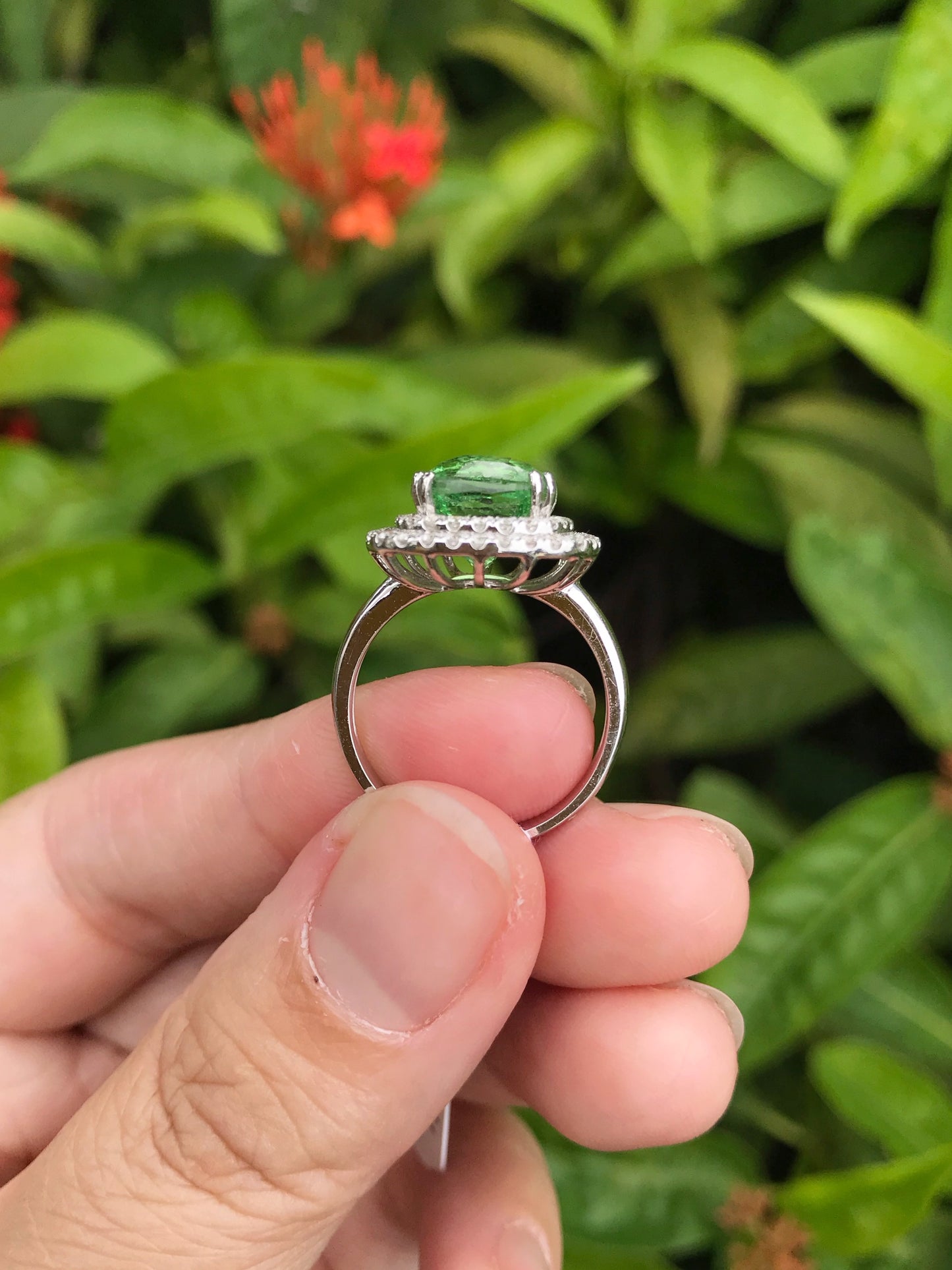 Natural Green Garnet Tsavorite 4.99ct Ring