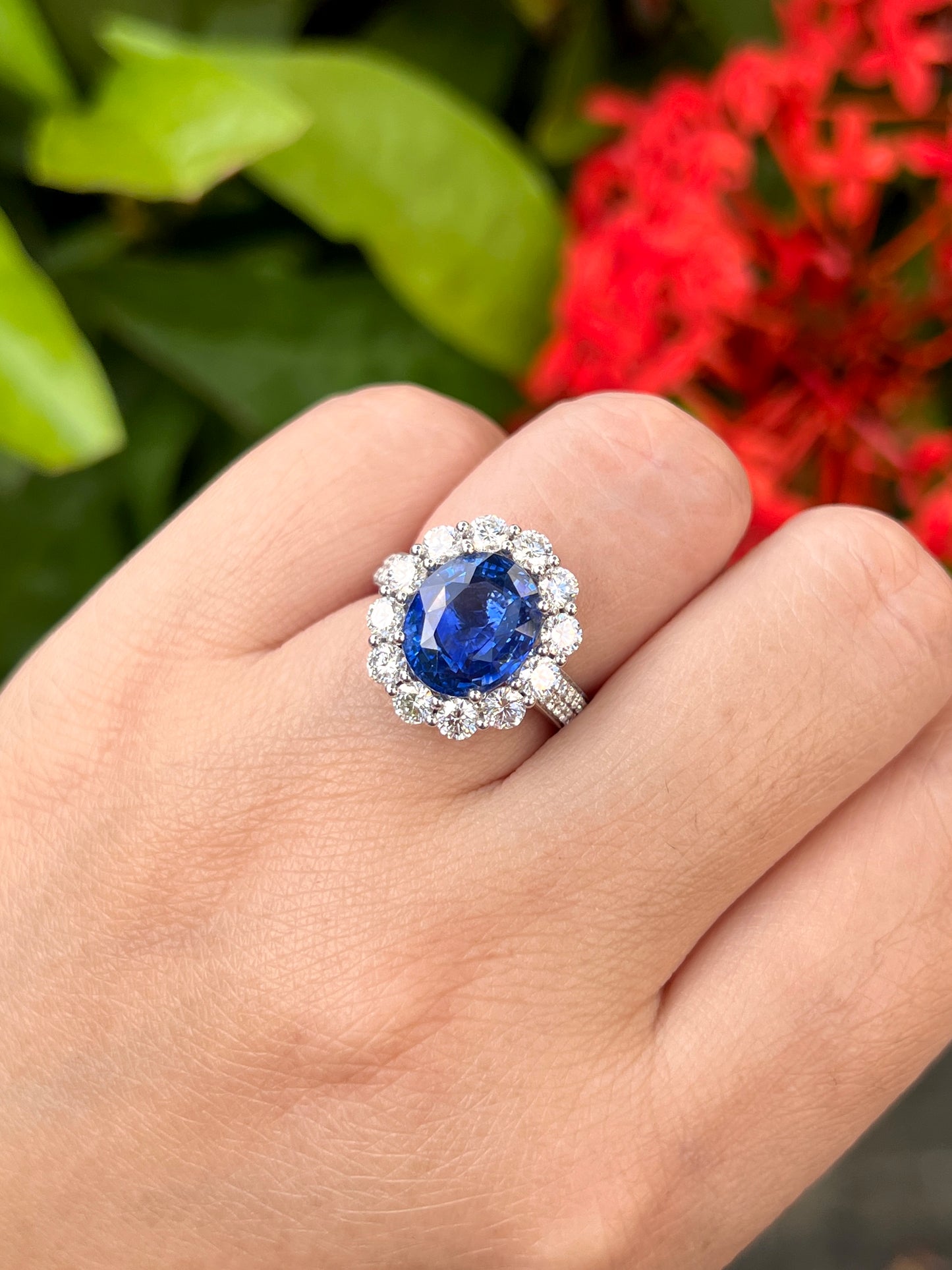 Natural Blue Sapphire Ring 4.80ct