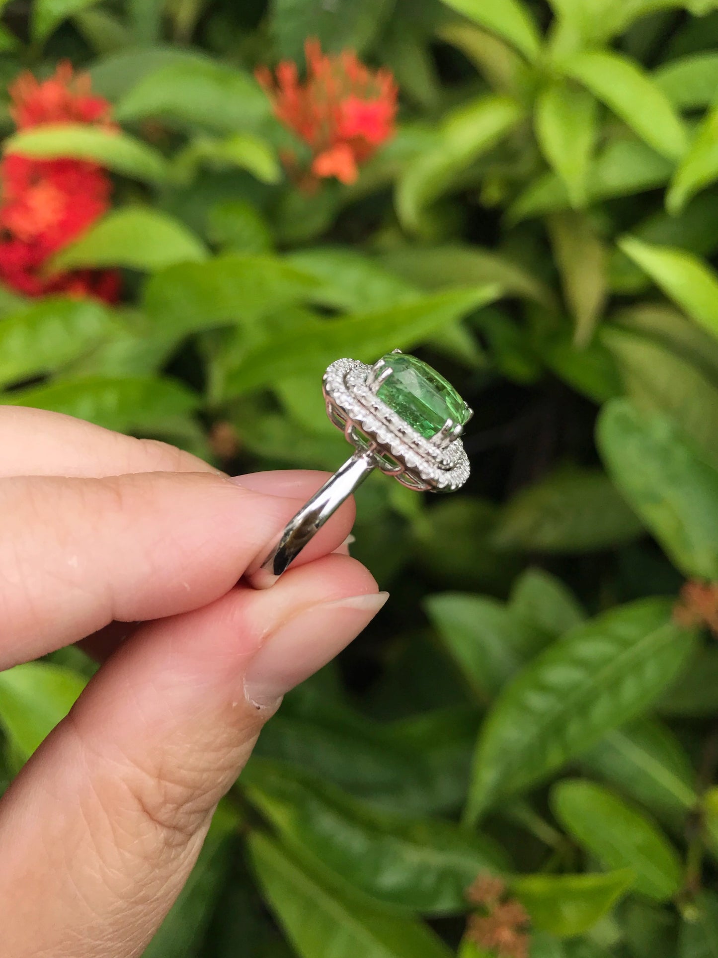 Natural Green Garnet Tsavorite 4.99ct Ring