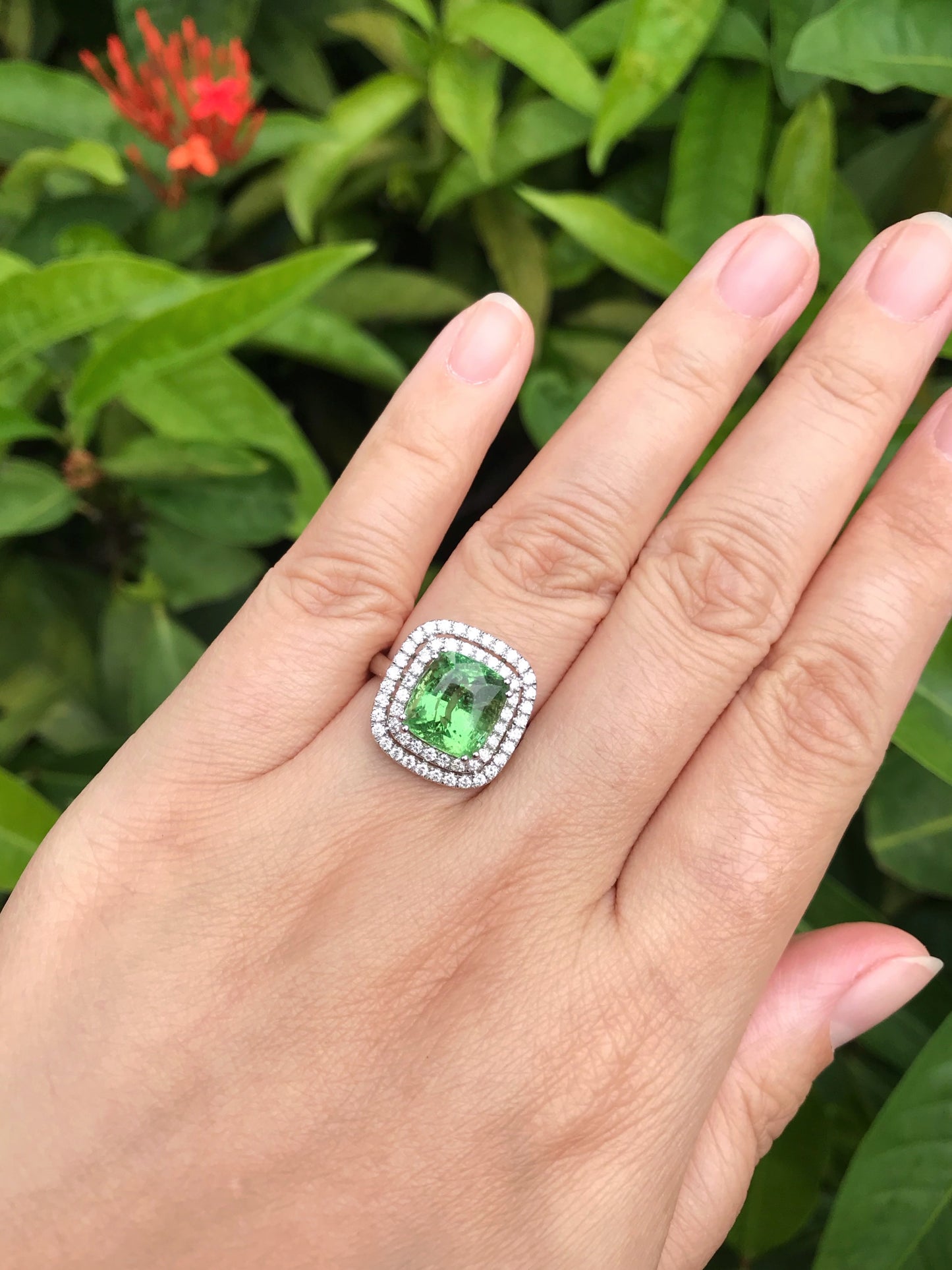 Natural Green Garnet Tsavorite 4.99ct Ring