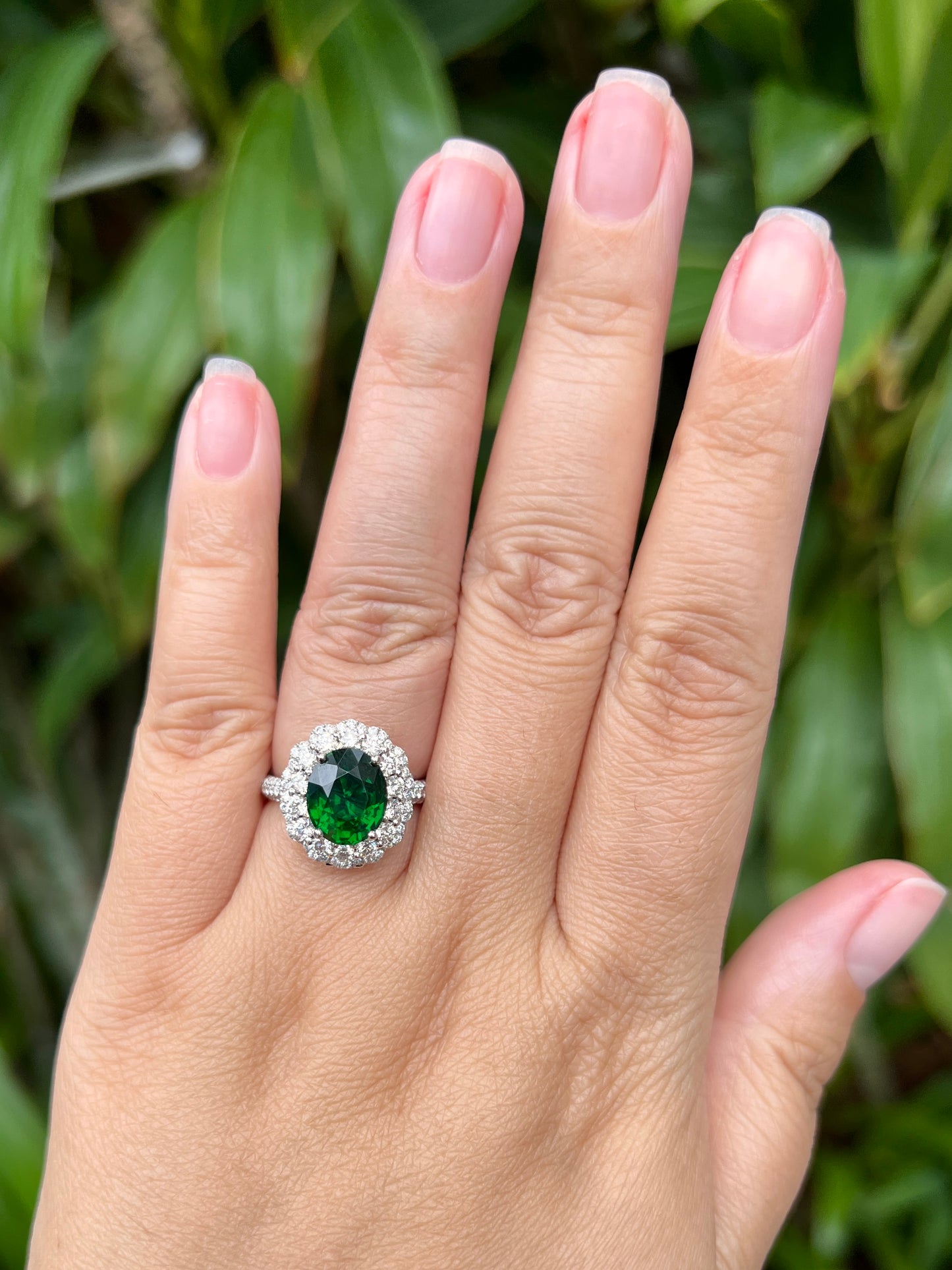 Natural Green Garnet Tsavorite 3.53ct Ring