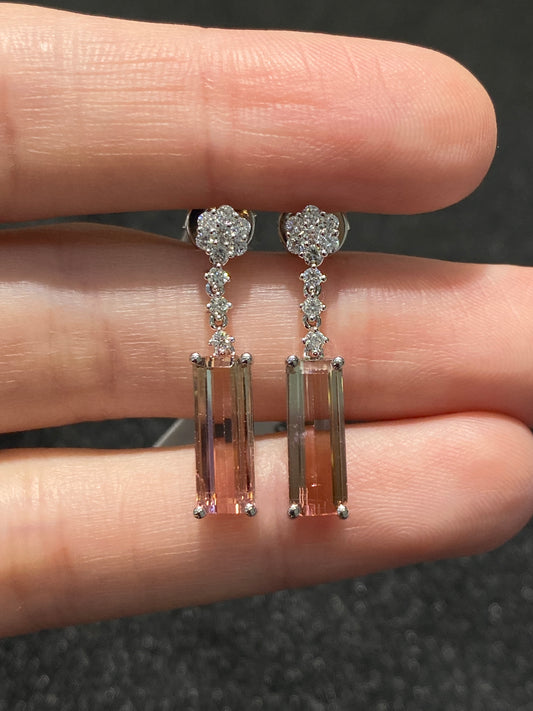 Natural Bi-color Tourmaline 3.73ct Earrings