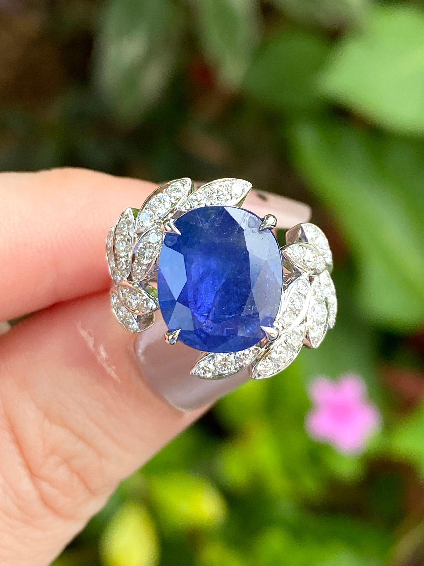 Natural Cornflower Blue Sapphire 5.20ct Ring