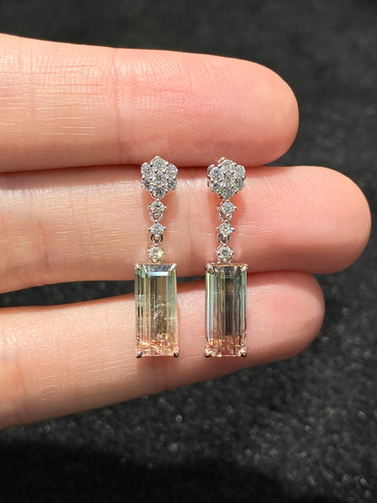 Natural Bi-color Tourmaline 4.77ct Earrings