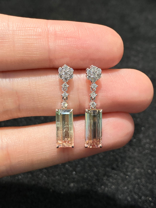 Natural Bi-color Tourmaline 4.77ct Earrings