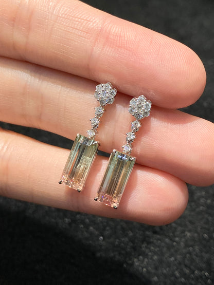 Natural Bi-color Tourmaline 4.77ct Earrings