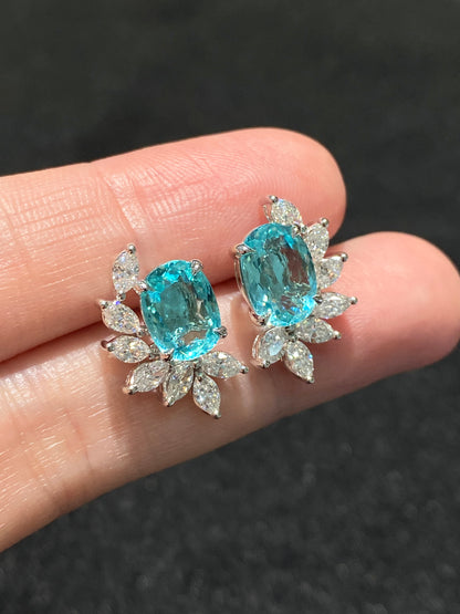 Natural Paraiba Tourmaline 3.20ct Earrings