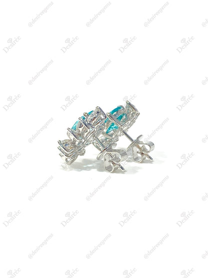 Natural Paraiba Tourmaline 3.20ct Earrings