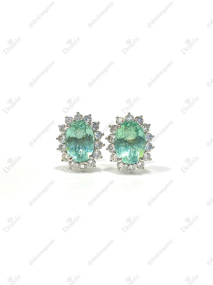 Natural Paraiba Tourmaline 3.04ct Earrings