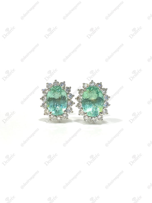 Natural Paraiba Tourmaline 3.04ct Earrings