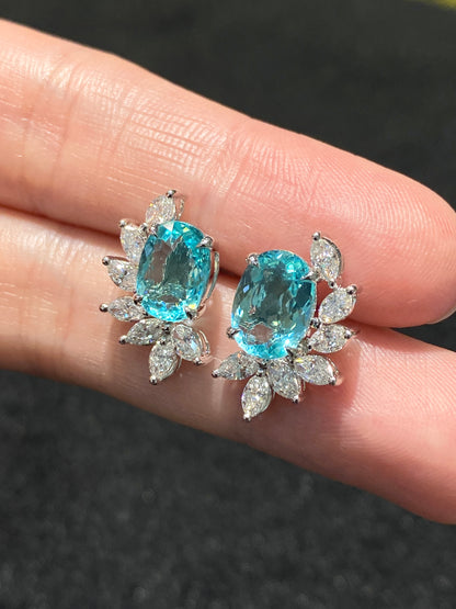 Natural Paraiba Tourmaline 3.20ct Earrings