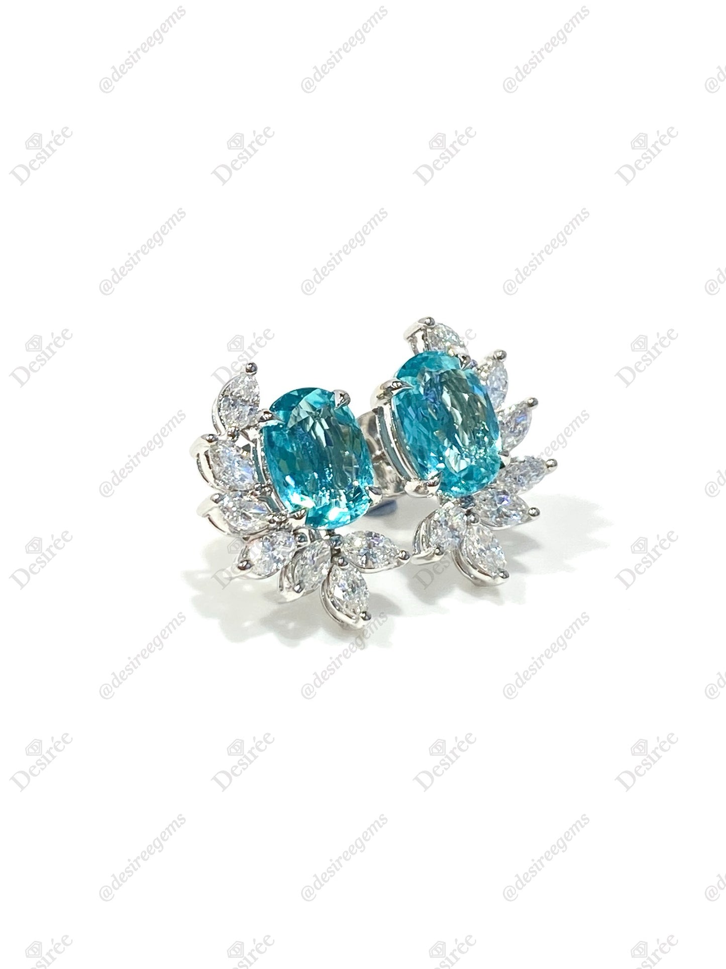 Natural Paraiba Tourmaline 3.20ct Earrings