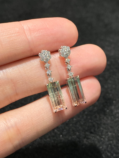 Natural Bi-color Tourmaline 4.77ct Earrings